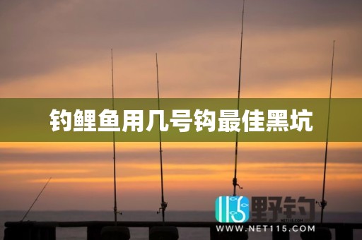 钓鲤鱼用几号钩最佳黑坑