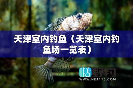 天津室内钓鱼（天津室内钓鱼场一览表）