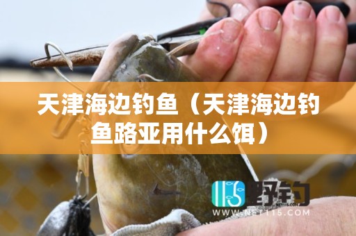天津海边钓鱼（天津海边钓鱼路亚用什么饵）