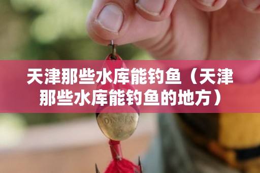 天津那些水库能钓鱼（天津那些水库能钓鱼的地方）