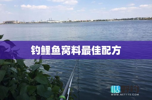 钓鲤鱼窝料最佳配方