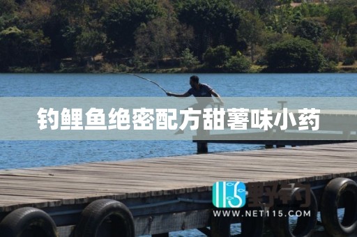 钓鲤鱼绝密配方甜薯味小药