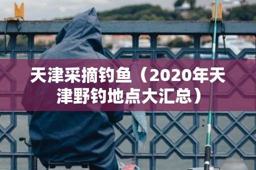 天津采摘钓鱼（2020年天津野钓地点大汇总）