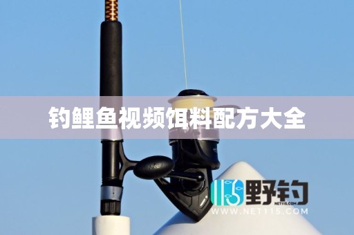 钓鲤鱼视频饵料配方大全