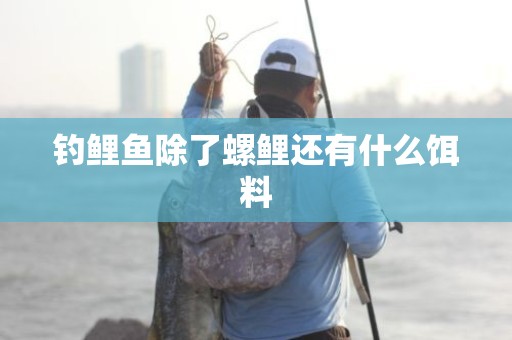 钓鲤鱼除了螺鲤还有什么饵料