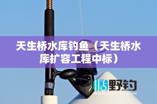 天生桥水库钓鱼（天生桥水库扩容工程中标）