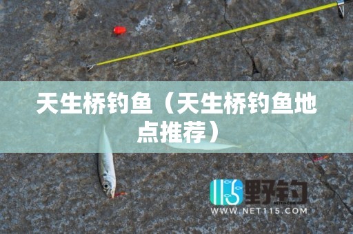 天生桥钓鱼（天生桥钓鱼地点推荐）