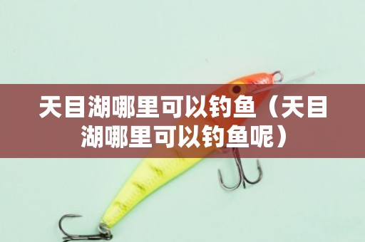 天目湖哪里可以钓鱼（天目湖哪里可以钓鱼呢）