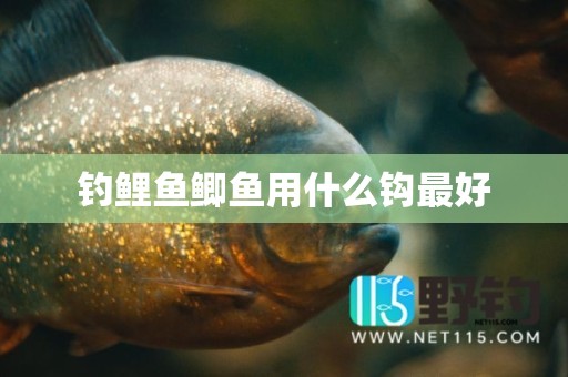 钓鲤鱼鲫鱼用什么钩最好