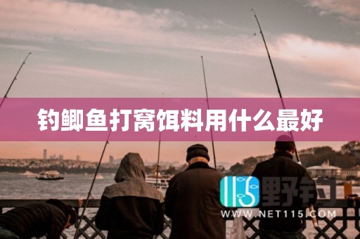 钓鲫鱼打窝饵料用什么最好