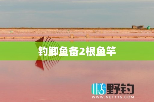 钓鲫鱼备2根鱼竿