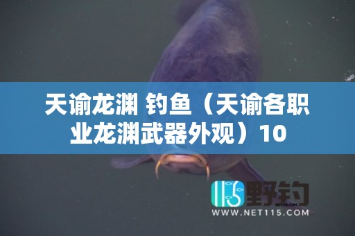 天谕龙渊 钓鱼（天谕各职业龙渊武器外观）10