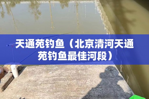 天通苑钓鱼（北京清河天通苑钓鱼最佳河段）