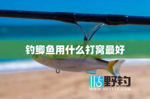 钓鲫鱼用什么打窝最好
