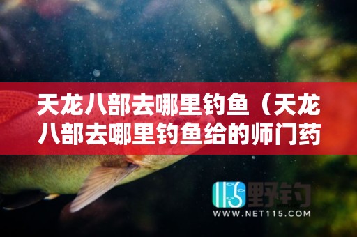 天龙八部去哪里钓鱼（天龙八部去哪里钓鱼给的师门药多啊）