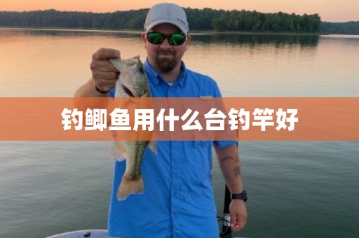 钓鲫鱼用什么台钓竿好