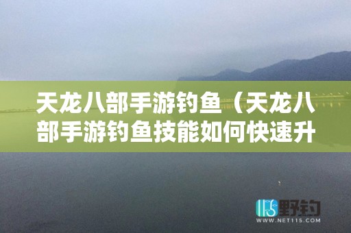 天龙八部手游钓鱼（天龙八部手游钓鱼技能如何快速升级）