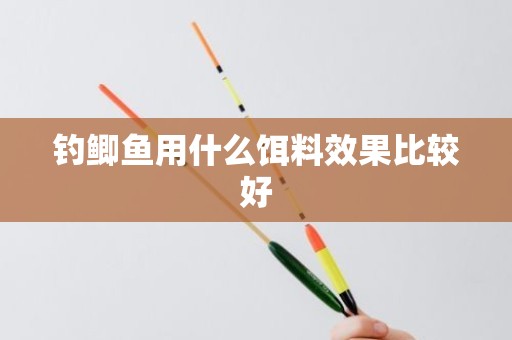 钓鲫鱼用什么饵料效果比较好