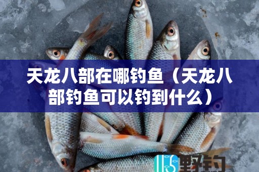 天龙八部在哪钓鱼（天龙八部钓鱼可以钓到什么）