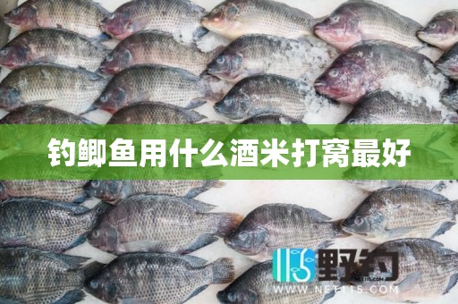 钓鲫鱼用什么酒米打窝最好