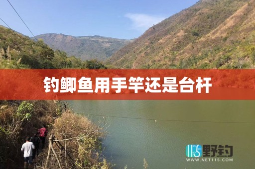 钓鲫鱼用手竿还是台杆