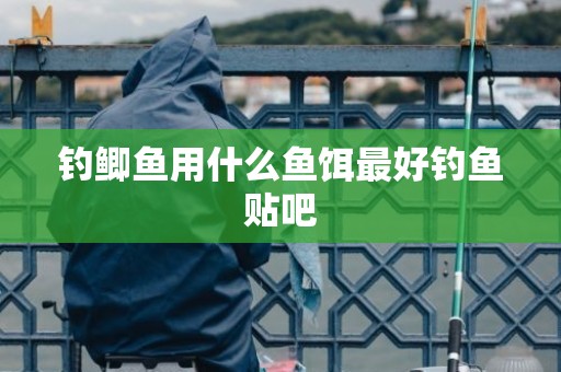 钓鲫鱼用什么鱼饵最好钓鱼贴吧