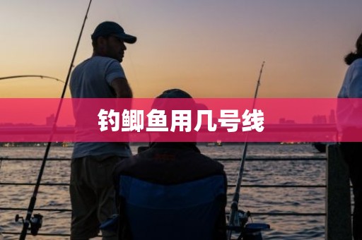 钓鲫鱼用几号线