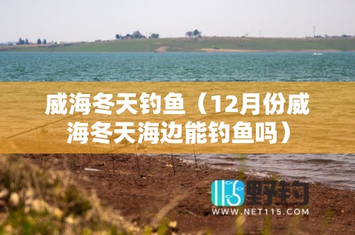威海冬天钓鱼（12月份威海冬天海边能钓鱼吗）