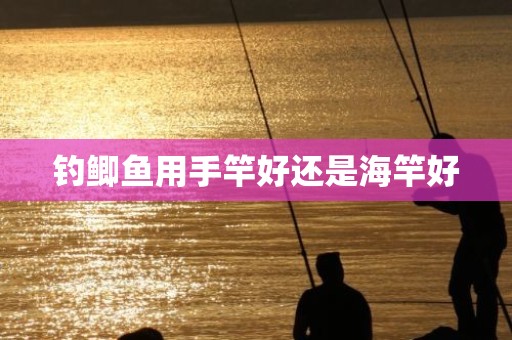 钓鲫鱼用手竿好还是海竿好
