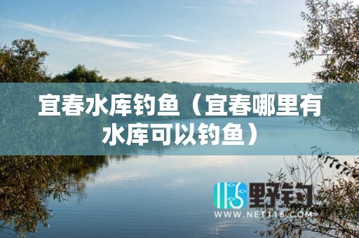宜春水库钓鱼（宜春哪里有水库可以钓鱼）