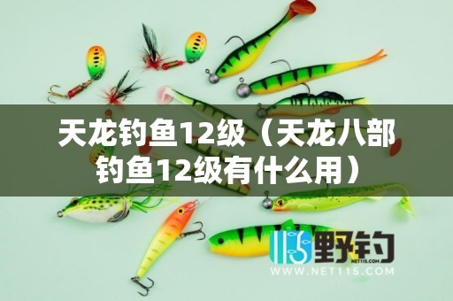 天龙钓鱼12级（天龙八部钓鱼12级有什么用）