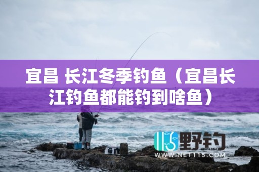 宜昌 长江冬季钓鱼（宜昌长江钓鱼都能钓到啥鱼）