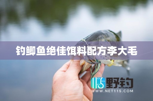 钓鲫鱼绝佳饵料配方李大毛