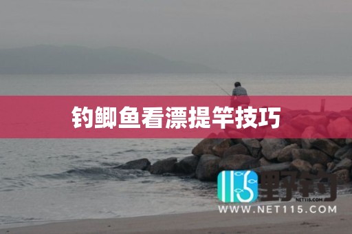 钓鲫鱼看漂提竿技巧