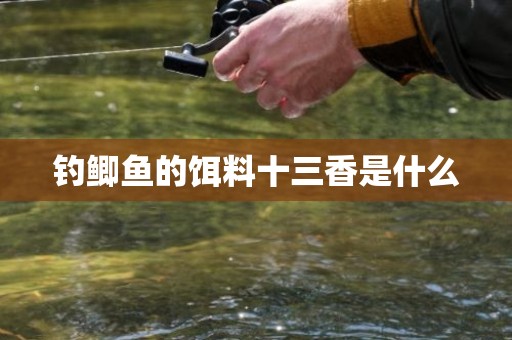 钓鲫鱼的饵料十三香是什么