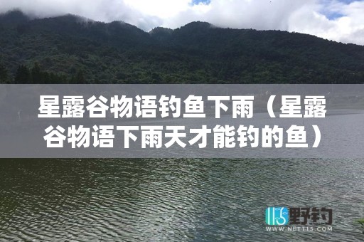 星露谷物语钓鱼下雨（星露谷物语下雨天才能钓的鱼）