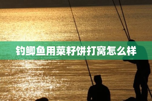 钓鲫鱼用菜籽饼打窝怎么样