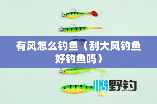 有风怎么钓鱼（刮大风钓鱼好钓鱼吗）