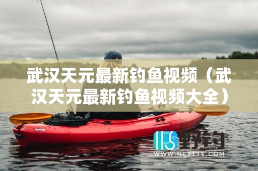 武汉天元最新钓鱼视频（武汉天元最新钓鱼视频大全）