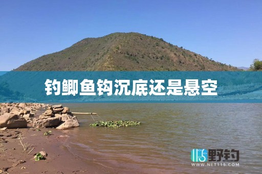 钓鲫鱼钩沉底还是悬空