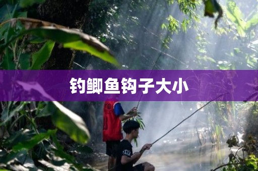 钓鲫鱼钩子大小