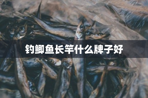 钓鲫鱼长竿什么牌子好