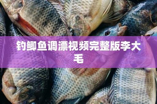钓鲫鱼调漂视频完整版李大毛