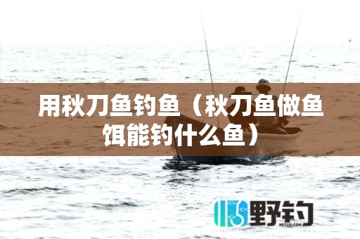 用秋刀鱼钓鱼（秋刀鱼做鱼饵能钓什么鱼）