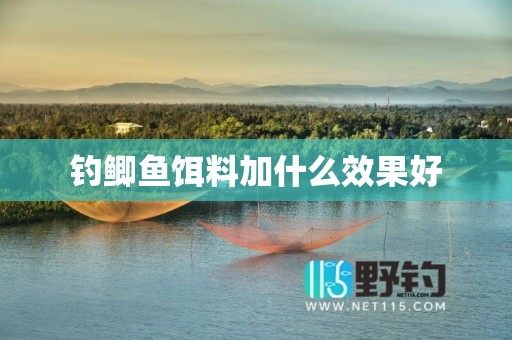 钓鲫鱼饵料加什么效果好