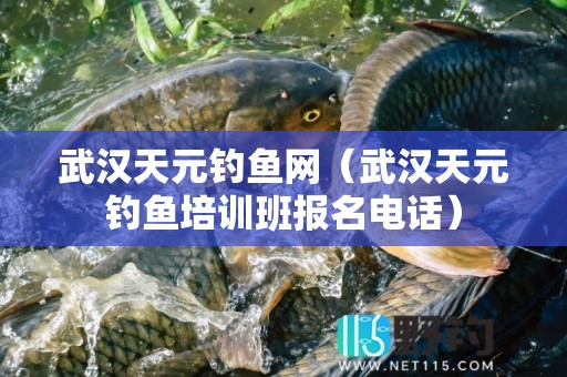武汉天元钓鱼网（武汉天元钓鱼培训班报名电话）