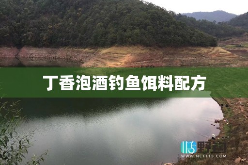 丁香泡酒钓鱼饵料配方