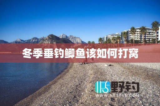冬季垂钓鲫鱼该如何打窝