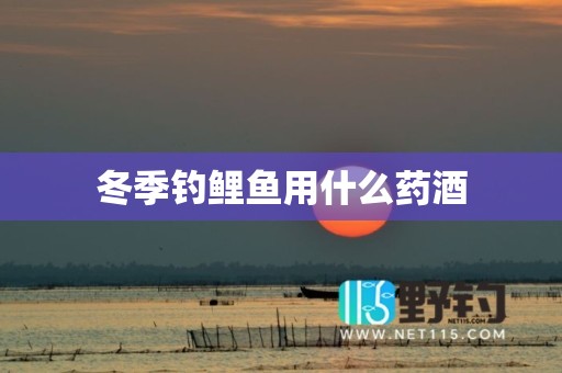 冬季钓鲤鱼用什么药酒