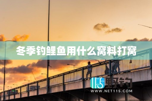 冬季钓鲤鱼用什么窝料打窝